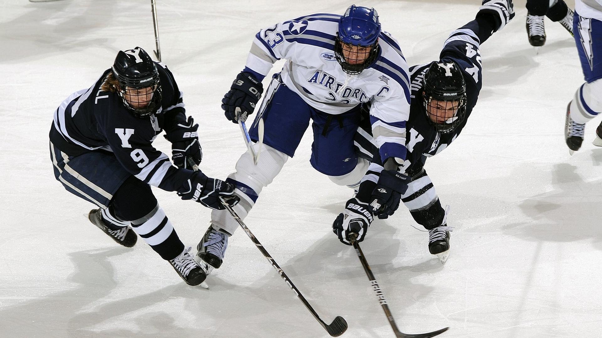 引进国际先进瑜伽教学理念，提升教学质量，国际瑜伽教练培训协会